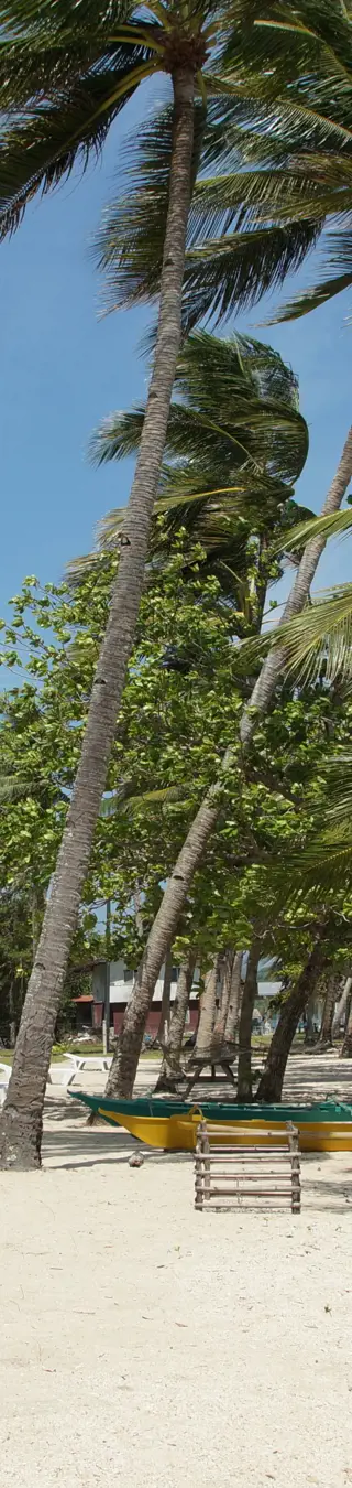Strandidylle